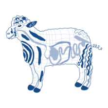 Animal Health and Nutritional Services